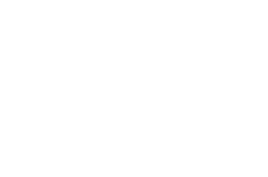 dbm-vircon_logo_w